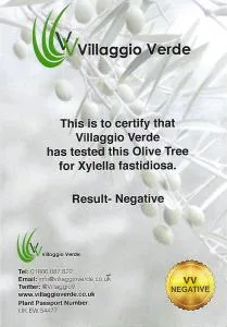 Xylella-209x300 Xylella 209x300 2