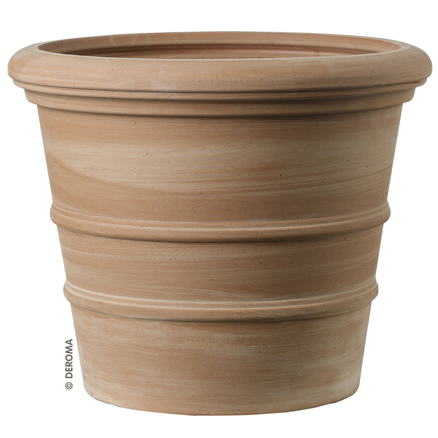 Tuscan Terracotta 50cm Pot Olive Trees Supplier VILLAGGIO VERDE