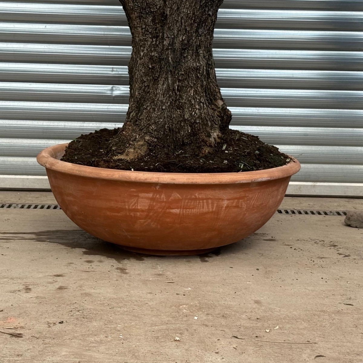 Terracotta Tuscan Pots | Terracotta Bowl | 100cm Diameter 5 Terracotta Tuscan Pots | Terracotta Bowl | 100cm Diameter - Image 3