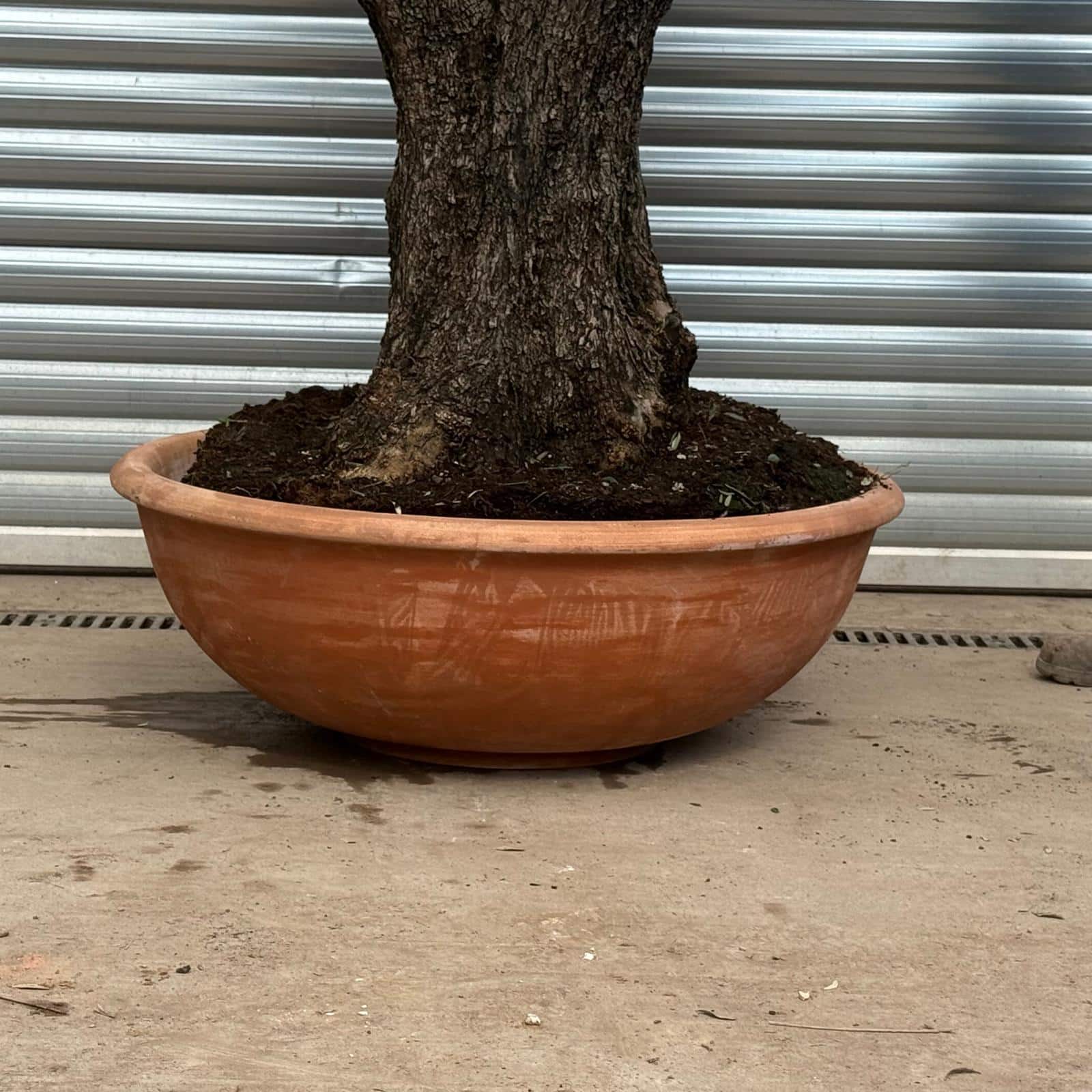 Terracotta Tuscan Pots | Terracotta Bowl | 100cm Diameter - Image 3
