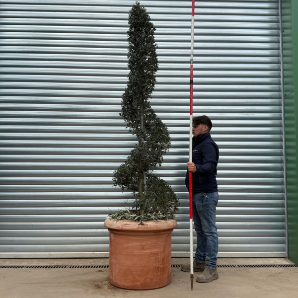 Terracotta Tuscan Pots | Cylinder | 75cm Diameter