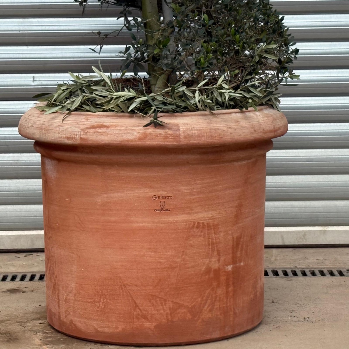 Terracotta Tuscan Pots | Cylinder | 75cm Diameter 5 Terracotta Tuscan Pots | Cylinder | 75cm Diameter - Image 3